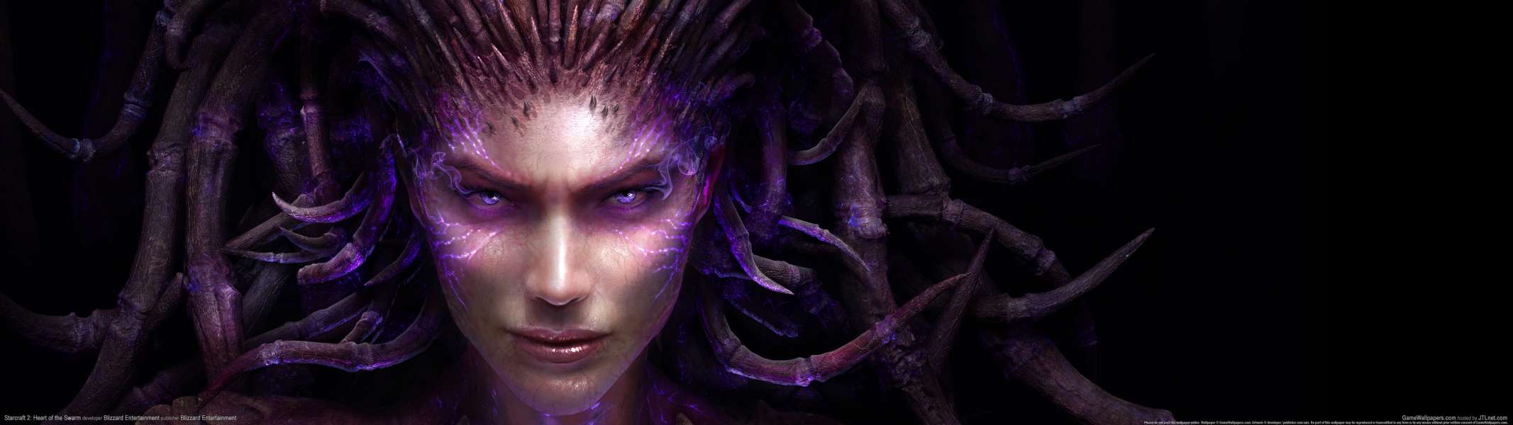 StarCraft 2: Heart of the Swarm dual screen achtergrond