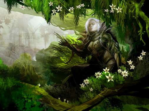 Guild Wars 2 Mobiele Horizontaal achtergrond