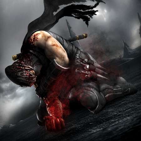 Ninja Gaiden 3 Mobiele Horizontaal achtergrond