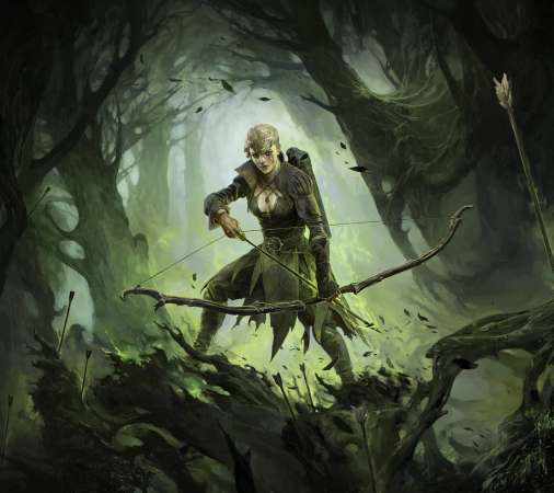 Path of Exile 2 Mobiele Horizontaal achtergrond