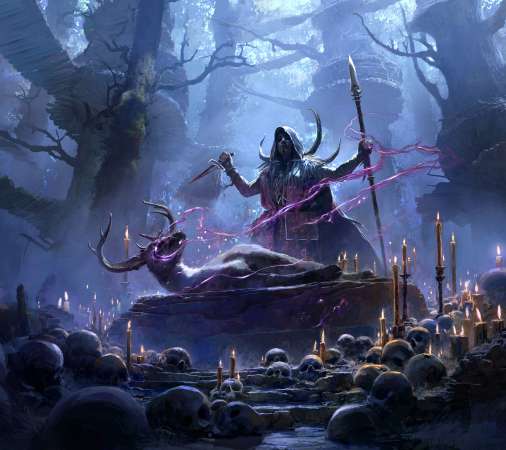 Path of Exile 2 Mobiele Horizontaal achtergrond