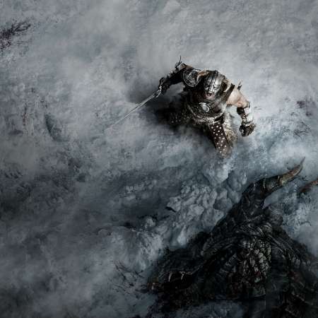 The Elder Scrolls 5: Skyrim Mobiele Horizontaal achtergrond