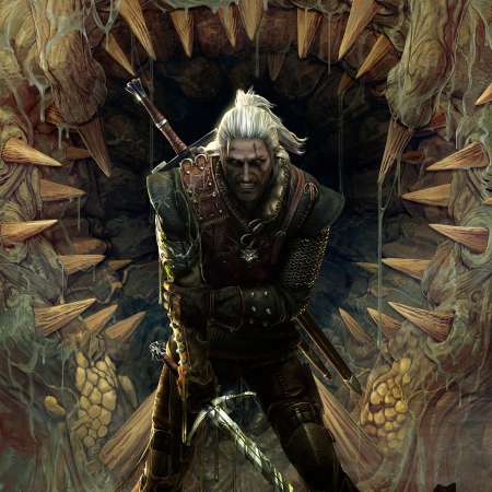 The Witcher 2: Assassins of Kings Mobiele Horizontaal achtergrond