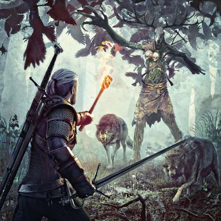 The Witcher 3: Wild Hunt Mobiele Horizontaal achtergrond