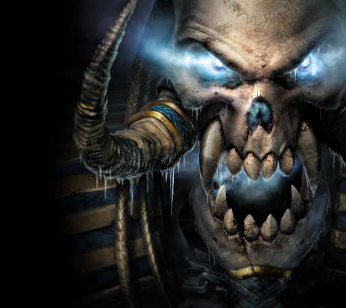 Warcraft 3: Reign of Chaos Mobiele Horizontaal achtergrond