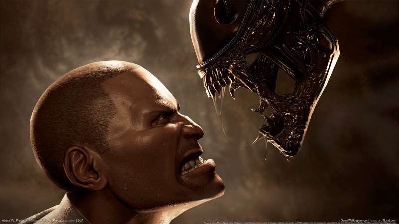 Aliens Vs. Predator achtergrond