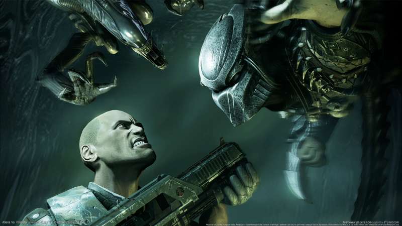 Aliens Vs. Predator wallpaper or background