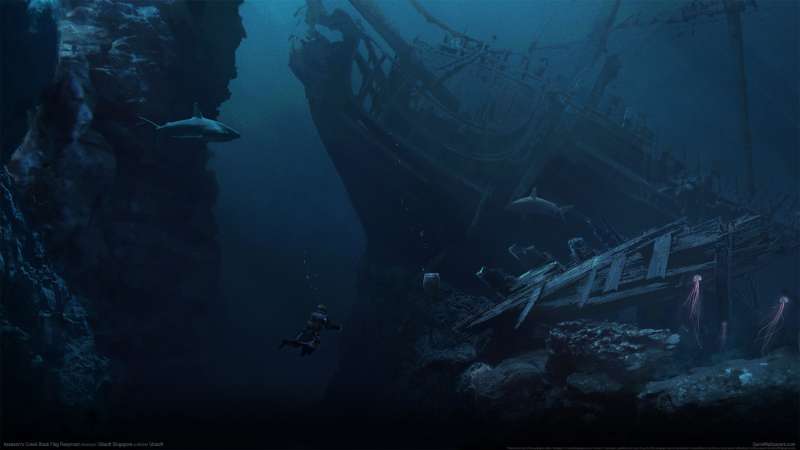 Assassin's Creed: Black Flag Resynced achtergrond