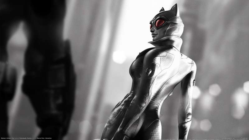 Batman: Arkham City achtergrond