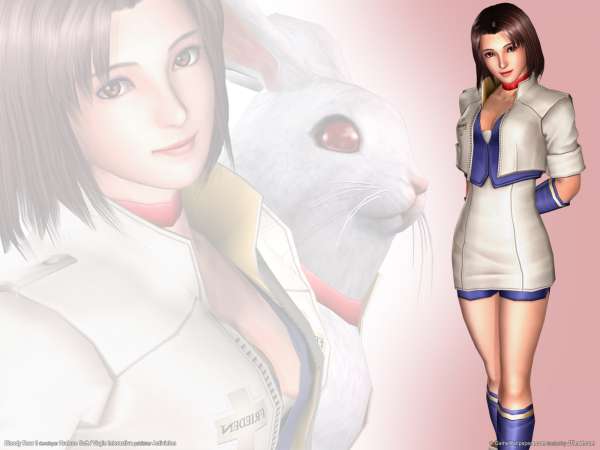 Bloody Roar 3 achtergrond