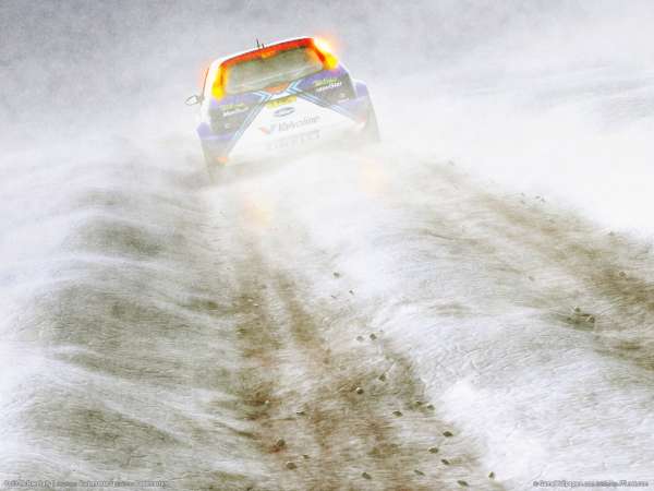 Colin McRae Rally 3 achtergrond