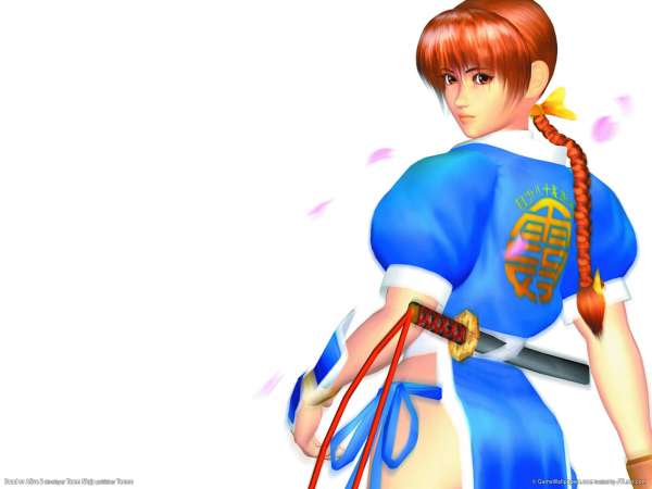 Dead or Alive 2 wallpaper or background