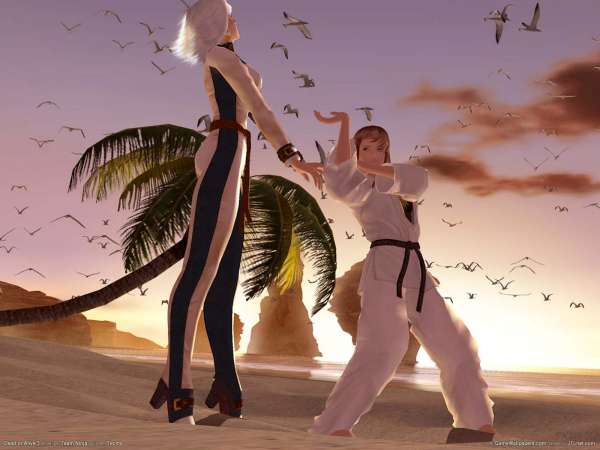 Dead or Alive 3 achtergrond