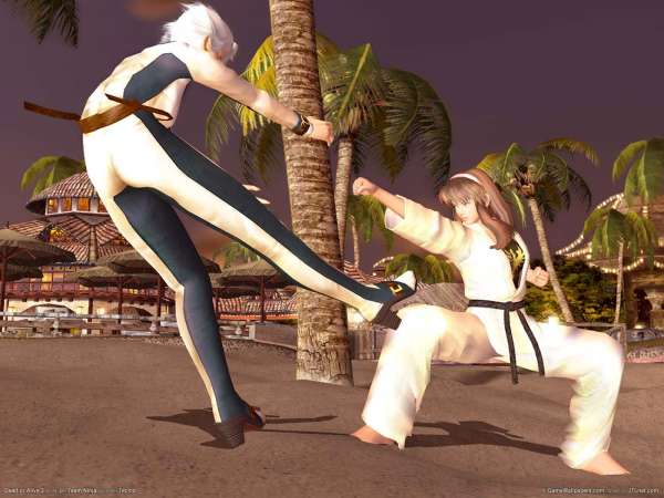 Dead or Alive 3 achtergrond