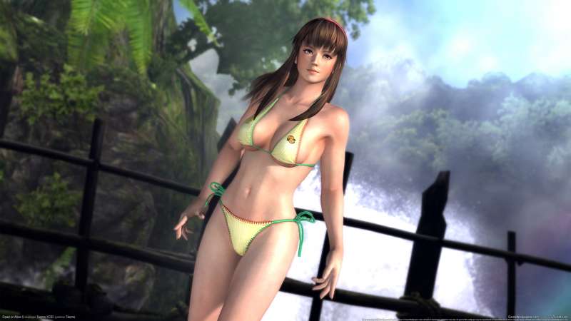 Dead or Alive 5 achtergrond