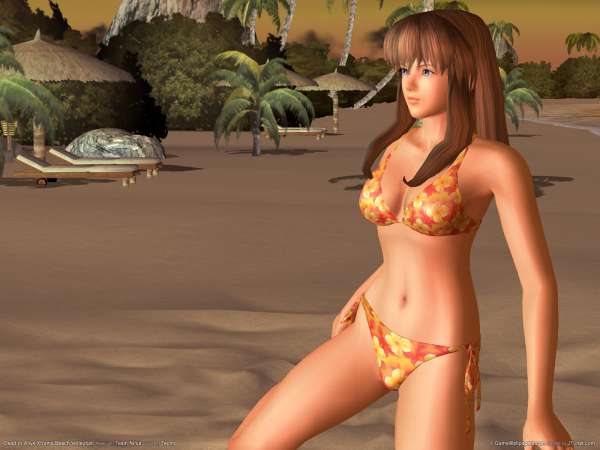 Dead or Alive Xtreme Beach Volleyball achtergrond