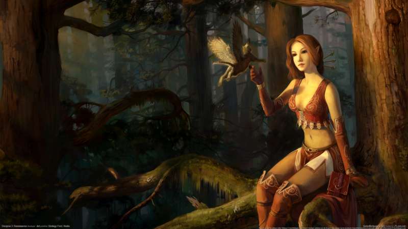 Disciples 3: Renaissance achtergrond