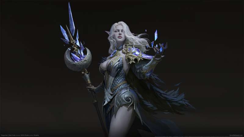Dragonheir: Silent Gods achtergrond