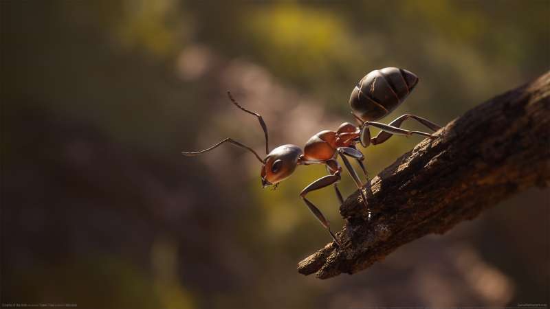 Empire of the Ants achtergrond