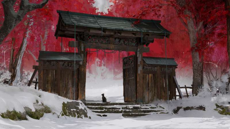 Ghost of Yotei achtergrond