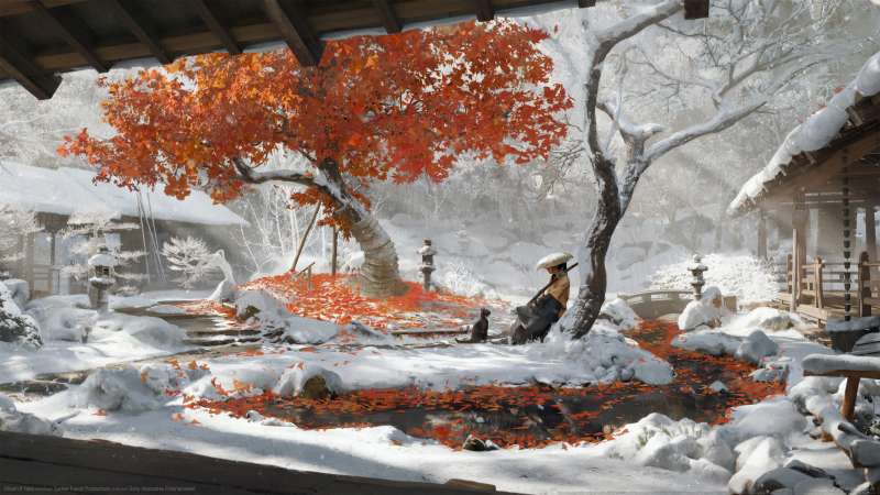 Ghost of Yotei achtergrond