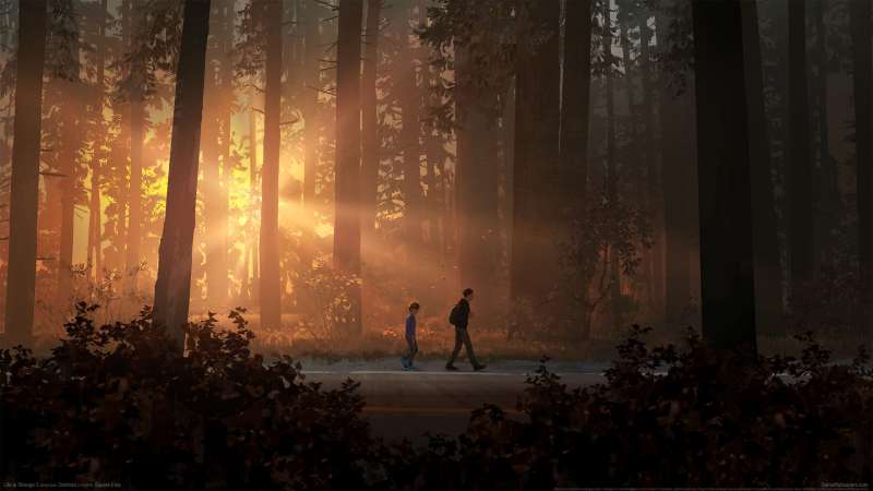 Life is Strange 2 achtergrond