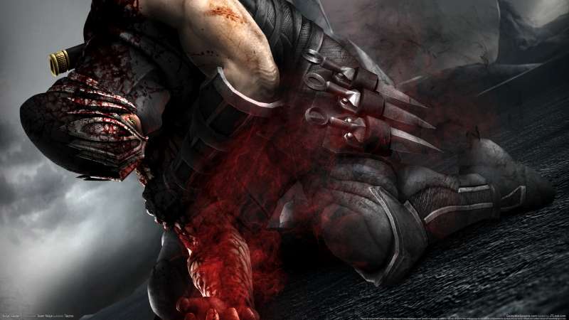 Ninja Gaiden 3 achtergrond