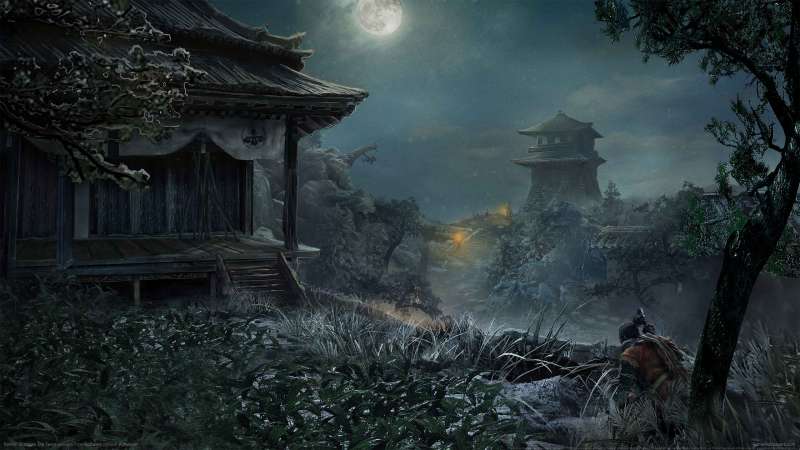 Sekiro: Shadows Die Twice achtergrond