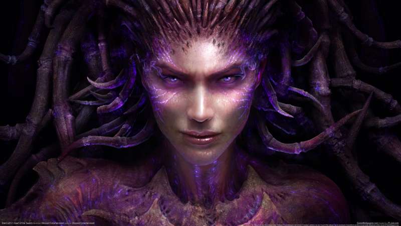 StarCraft 2: Heart of the Swarm achtergrond