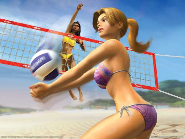 Summer Heat Beach Volleyball wallpaper or background