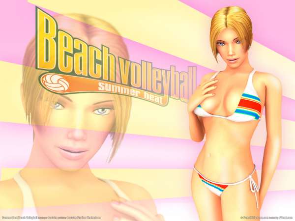 Summer Heat Beach Volleyball wallpaper or background