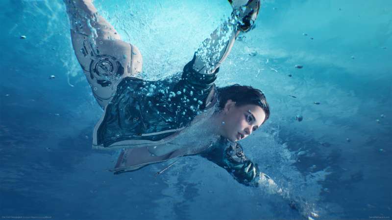 The First Descendant achtergrond