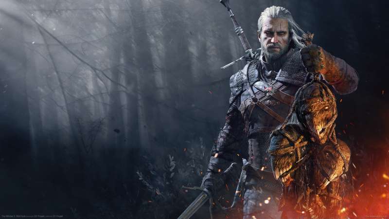 The Witcher 3: Wild Hunt achtergrond