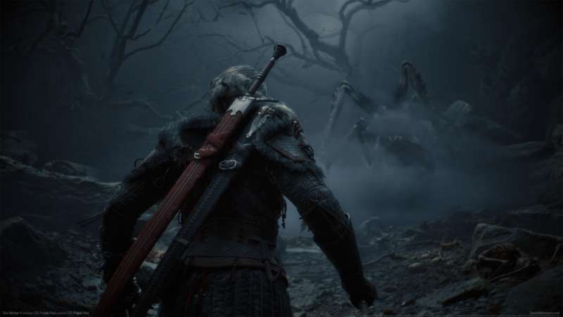 The Witcher 4 achtergrond