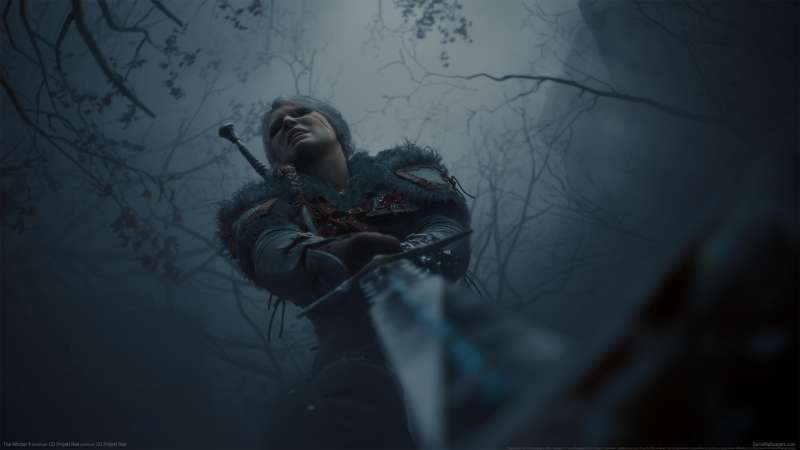 The Witcher 4 achtergrond