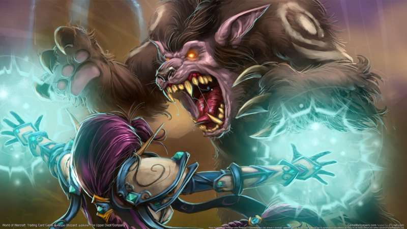 World of Warcraft: Trading Card Game achtergrond