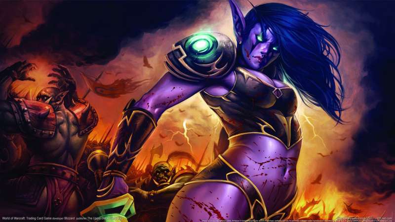 World of Warcraft: Trading Card Game achtergrond