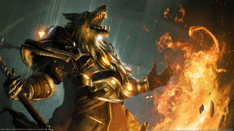 World of Warcraft: Trading Card Game achtergrond