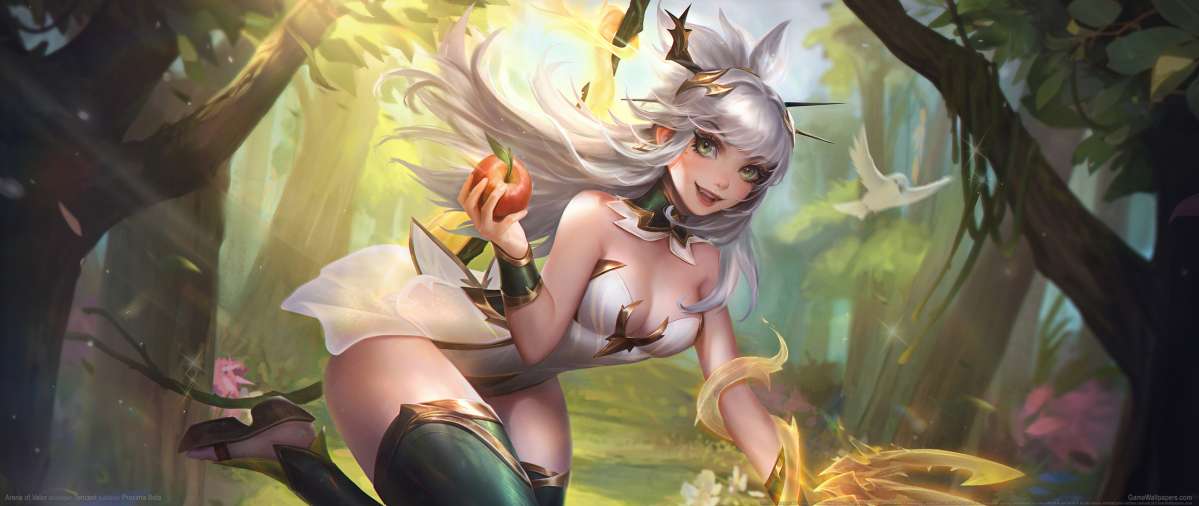 Arena of Valor achtergrond