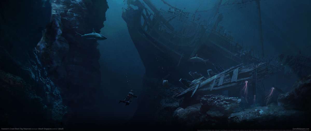 Assassin's Creed: Black Flag Resynced achtergrond