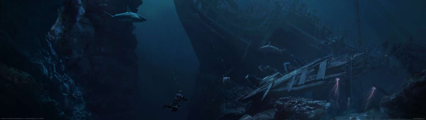 Assassin's Creed: Black Flag Resynced achtergrond