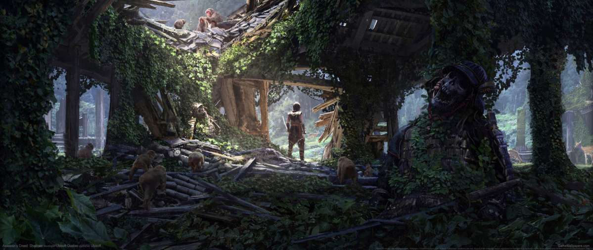 Assassin's Creed: Shadows ultrawide achtergrond 08