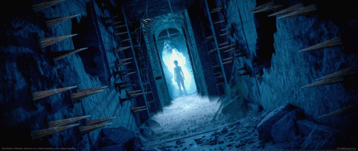 Clive Barker's Hellraiser: Revival achtergrond