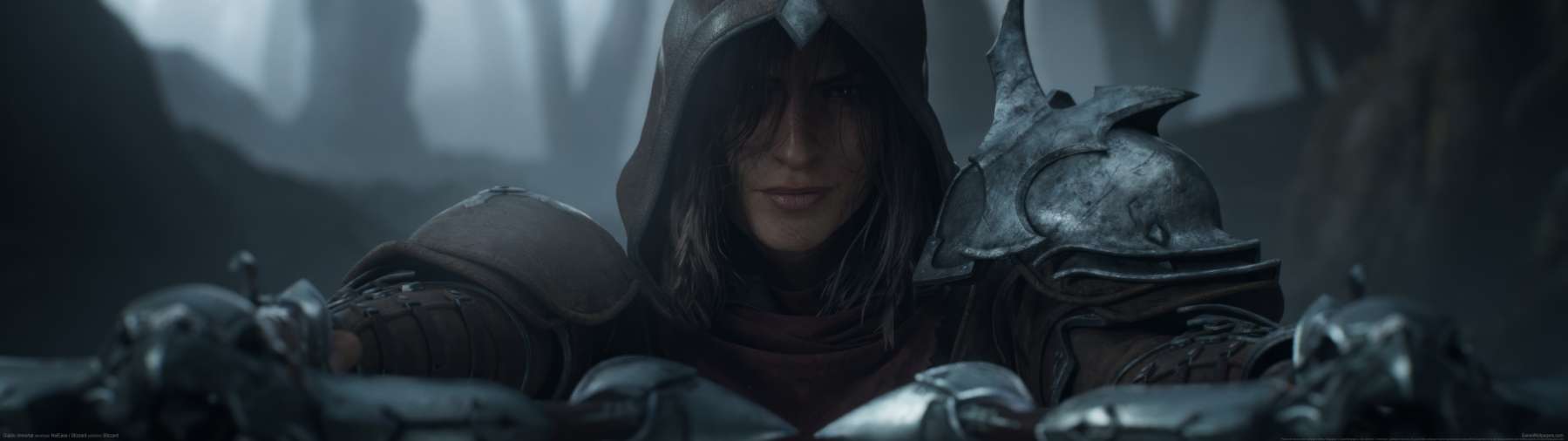 Diablo Immortal achtergrond
