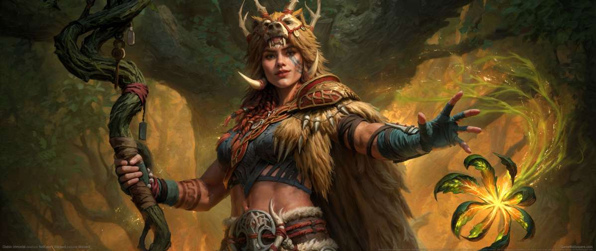 Diablo Immortal achtergrond