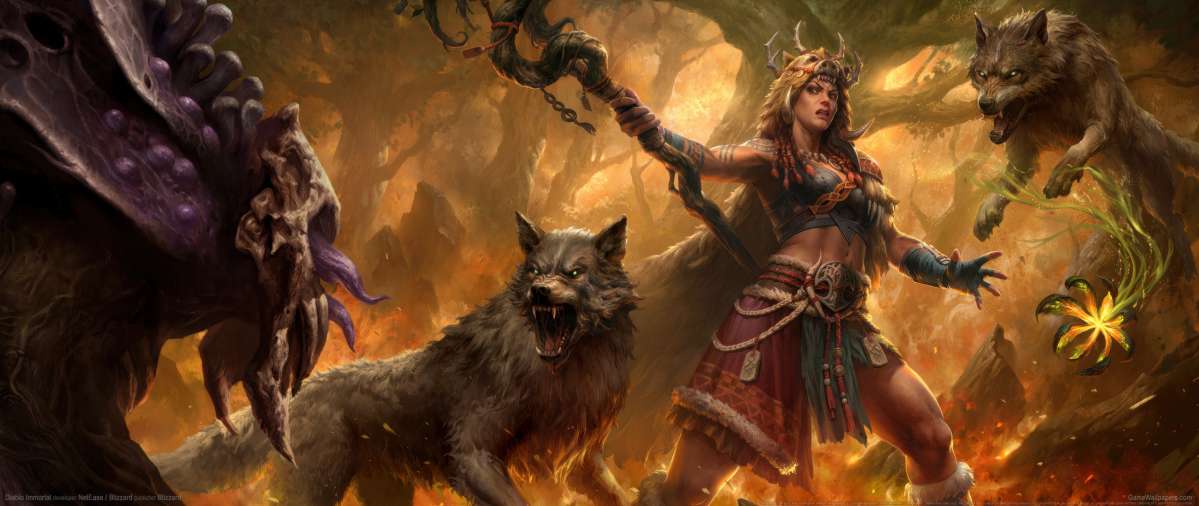 Diablo Immortal achtergrond
