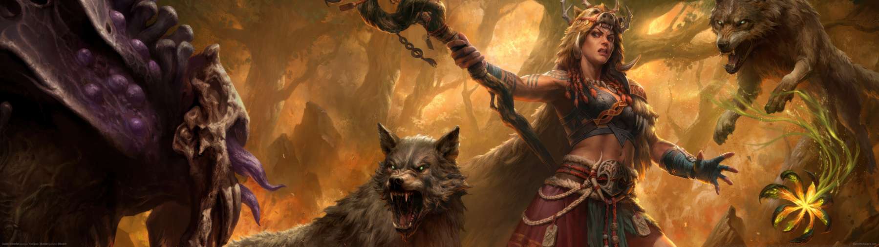 Diablo Immortal achtergrond