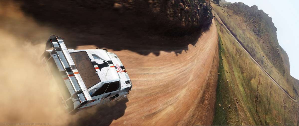 DiRT Rally achtergrond