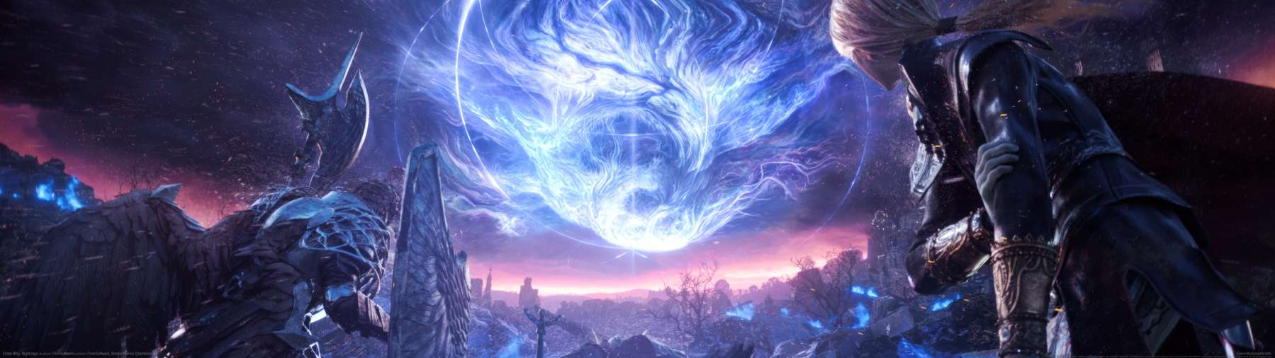 Elden Ring: Nightreign achtergrond