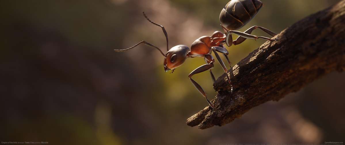 Empire of the Ants achtergrond